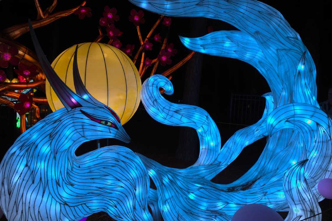 Chinese Lantern Festival 2019